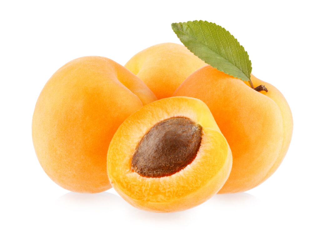 Apricot