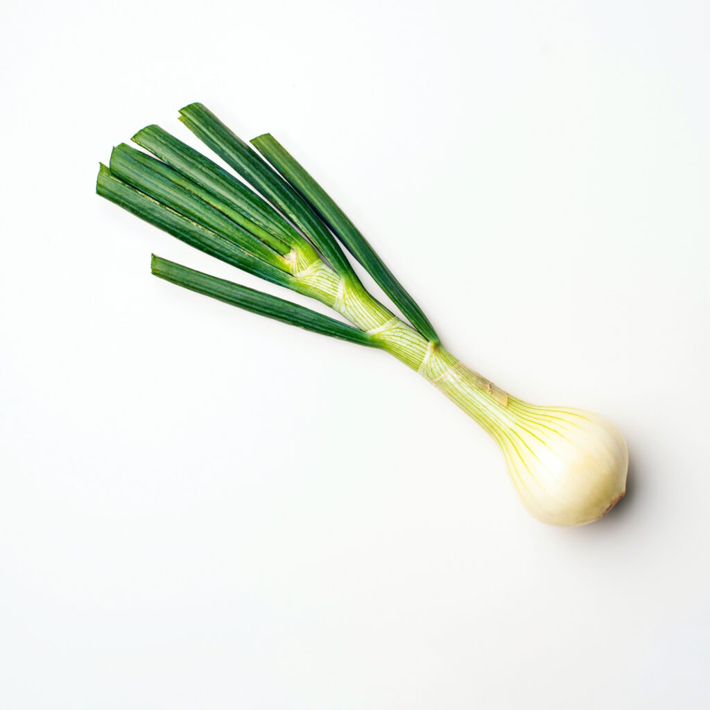 Leek Green Onion