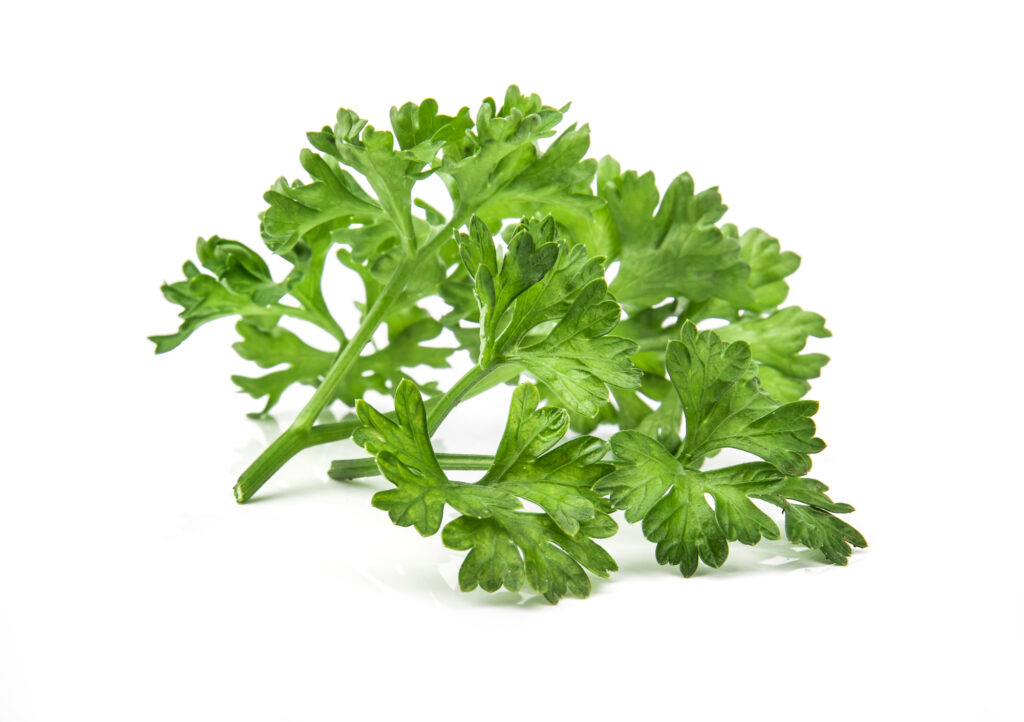 Parsley