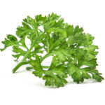 Parsley