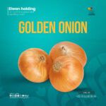 Onion