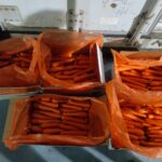Carrots