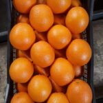 Oranges
