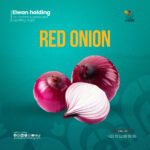 Onion