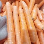 Carrots