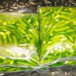 Frozen green beans