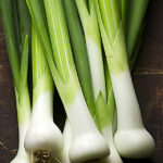 Leek Green Onion