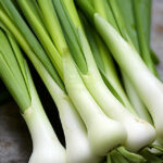 Leek Green Onion
