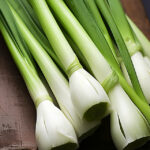 Leek Green Onion