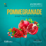 Pomergranate